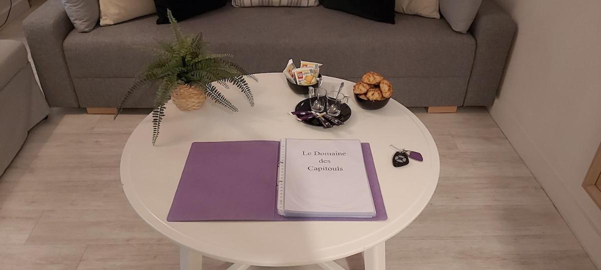 Les Capitouls - Avec Entree Autonome, Clim Neuve, Jardin, Parking Prive & Sa Piscine ! - Apartment Тулуза Екстериор снимка