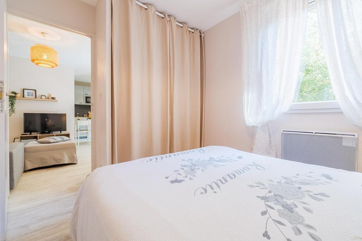 Les Capitouls - Avec Entree Autonome, Clim Neuve, Jardin, Parking Prive & Sa Piscine ! - Apartment Тулуза Екстериор снимка
